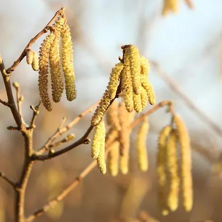 Bridge House Farm Weeton (West Yorkshire)