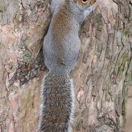 Bridge House Farm Σπίτι διακοπών